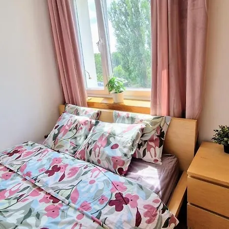 Student District In The Heart Of -2