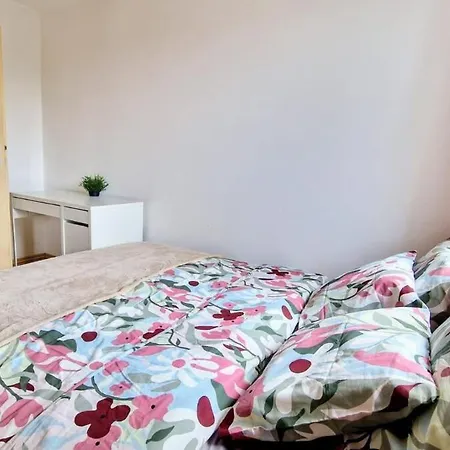 Student District In The Heart Of -2 Apartment *
