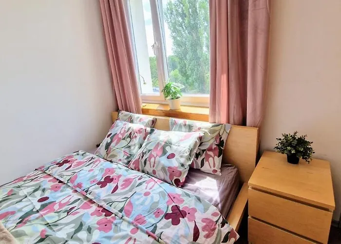 Student District In The Heart Of -2